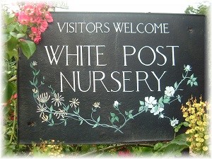 White Post Nursery