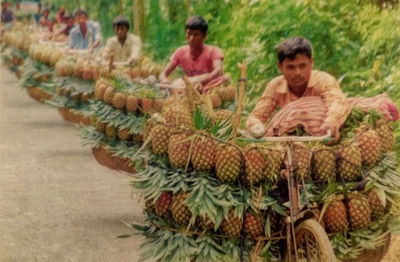 Weir Cycling