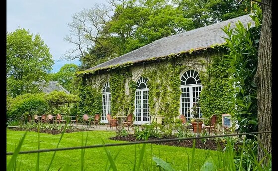 Over to The Orangery, Bridwell Park