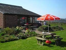 All day (hilly) cycle to Halberton (42 miles)