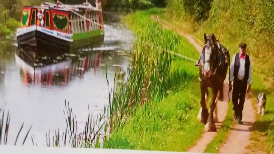 Horse Drawn Barge, Tiverton.
