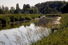 Ladies Ride to Langport