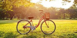 Slow & short ride to Norton Fitzwarren for those recovering