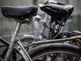 'Let's blow away the cobwebs' - New Years Day cycle (Saturday)