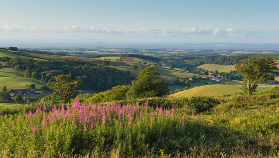 'Challenging' cycle with stunning views over to The New Inn Cafe in Halse 