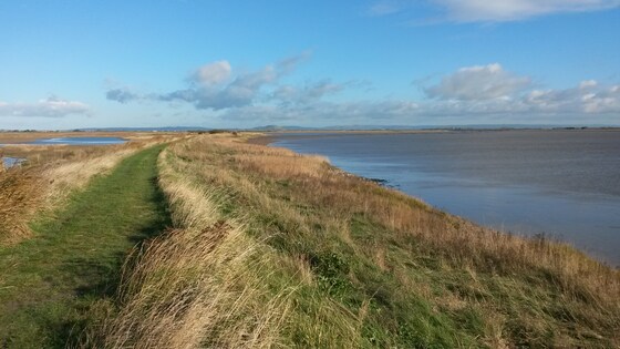 Circular close to Hinkley, Steart Marsh and Enmore 