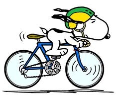 Wonderful, Wonderful Wiveliscombe 