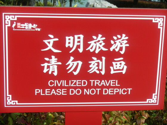 Ride out to The Purple spoon Bridgwater