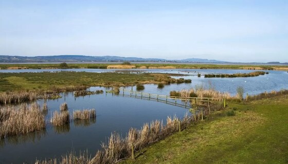 Severn estuary ride - visiting Jenner museum + Slimbridge wetland centre. Venue costs £23