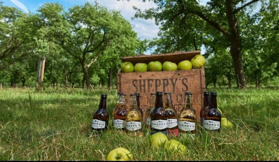 Short Friday Ride to Sheppy's Cider