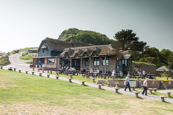 East Devon Coast and Countryside