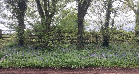Hestercombe