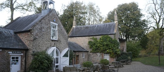 Fyne Court