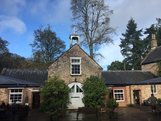 Fyne Court 