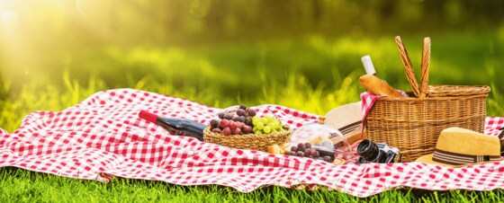 Ash Common Picnic from Wellington 
