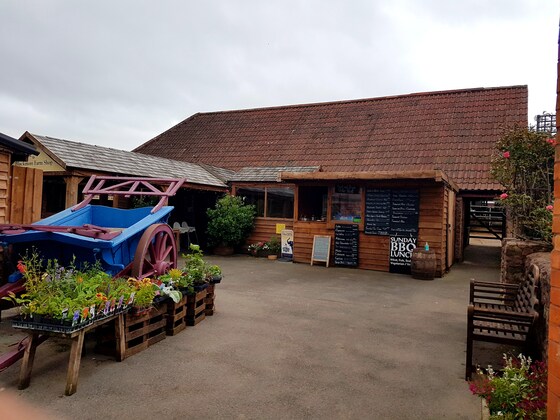 Ride out to Blackmore farm Cannington Thursday August 17th