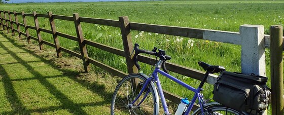 August Bank Holiday Treasure Hunt