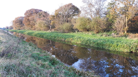 Wedmore