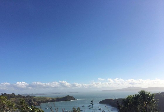 Hydrofoil Waiheke