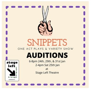 Snippets audition