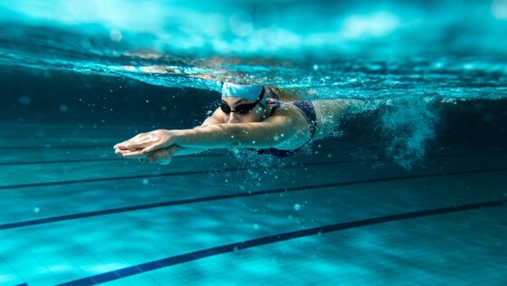 Training starts for Term 3