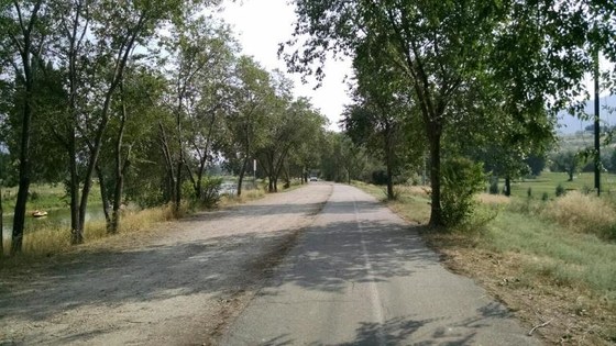 Virtual Fiver Family Week 1