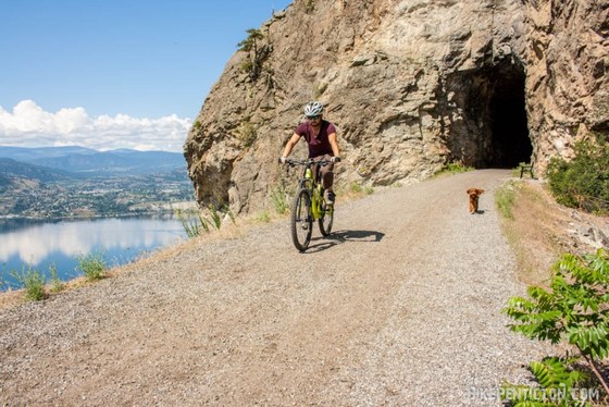 Virtual Fiver Week 3 Family