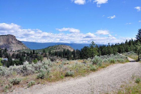 Virtual Fiver Week 2 Family