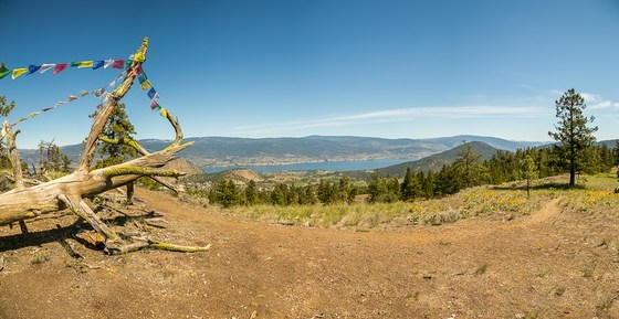 Virtual Fiver Week 2 Mountain