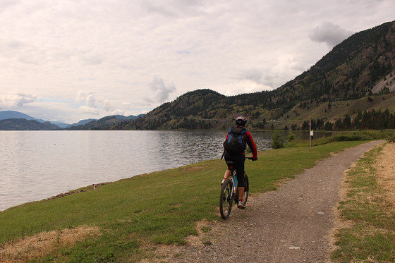 Virtual Fiver Week 4 Family