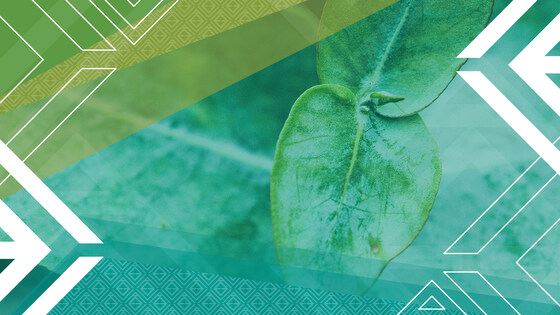 April Committee of Management meeting