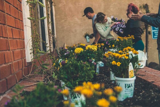 Parents as volunteers for their school sustainability program - online