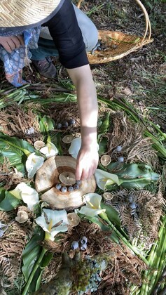 Hobson's Bay Teacher Environment Network (TEN) Meeting: RITUAL & TREE PLANTING