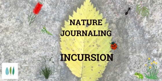 Nature Journaling Incursions all through Term 3 and Term 4