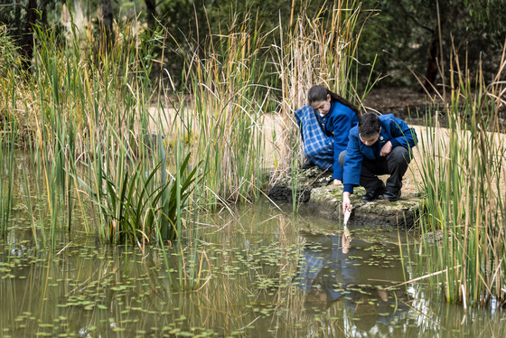 Student Wellbeing and Nature Presentation
