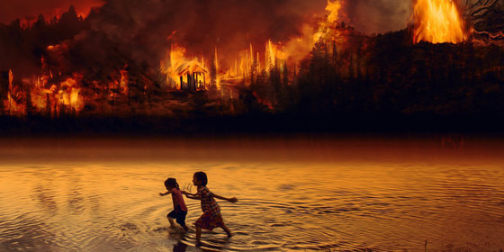 Brazil Ablaze:  Understanding the Amazon Rainforest Fires 