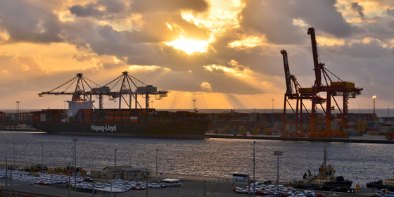 Panel Discussion: Australian Trade after Covid-19