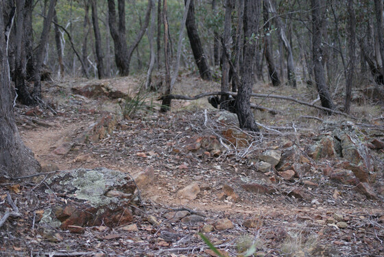 October Social Ride - Walmer Forest