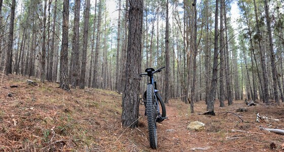 December Social Ride - Castlemaine Circuit