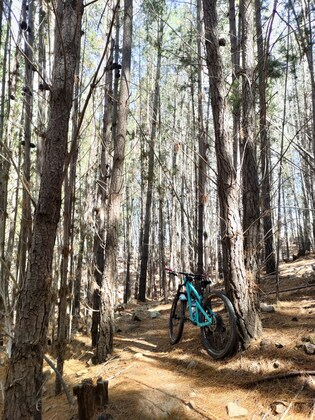 March Women's* Social Ride - The Pineys