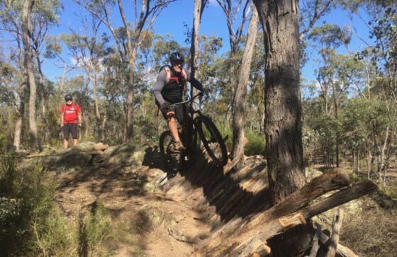 November Social Ride - Muckleford Forest