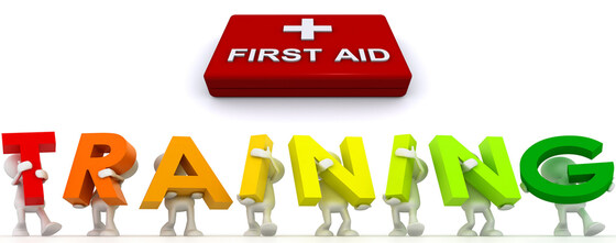 Youth First Aid Course (12yrs old+)