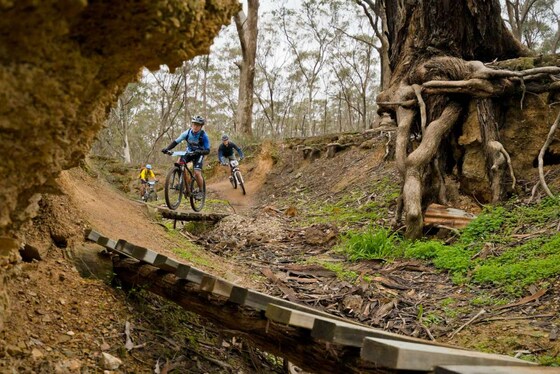 November Social Ride - Baco trails
