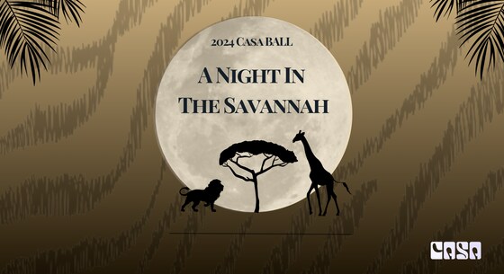 A NIGHT IN THE SAVANNAH