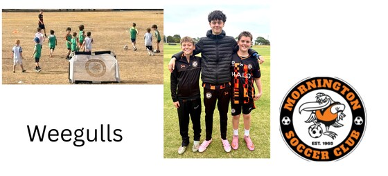 Saturday Weegulls Term 2 - 8 week course (8 x 1hr) Skills & Development - From 18th of April 2026