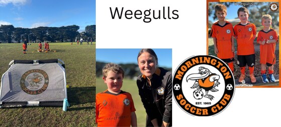 Saturday Weegulls Term 3 (10 x 1hr) Skills & Development - From the 11th of July to the 21th of September 2026