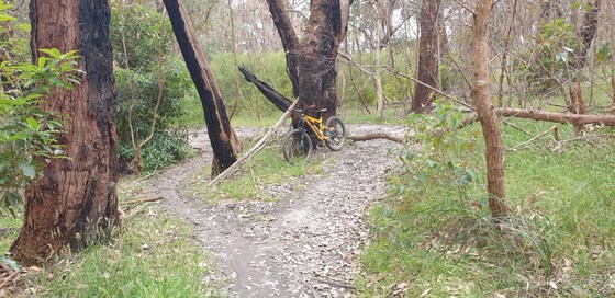 LDTR social ride @ Lysterfield lake park 5/12