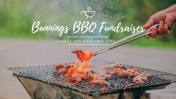 Bunnings BBQ November 17 2024 