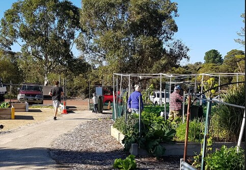 Piney Lakes Garden - Open Day