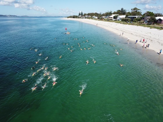 Jimmys Beach Open Water Swim 2019